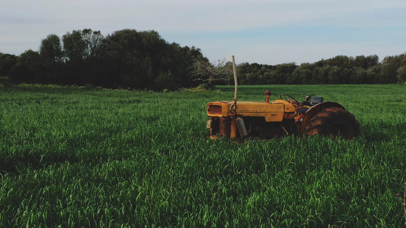 yellow farm tractor on green grassfield