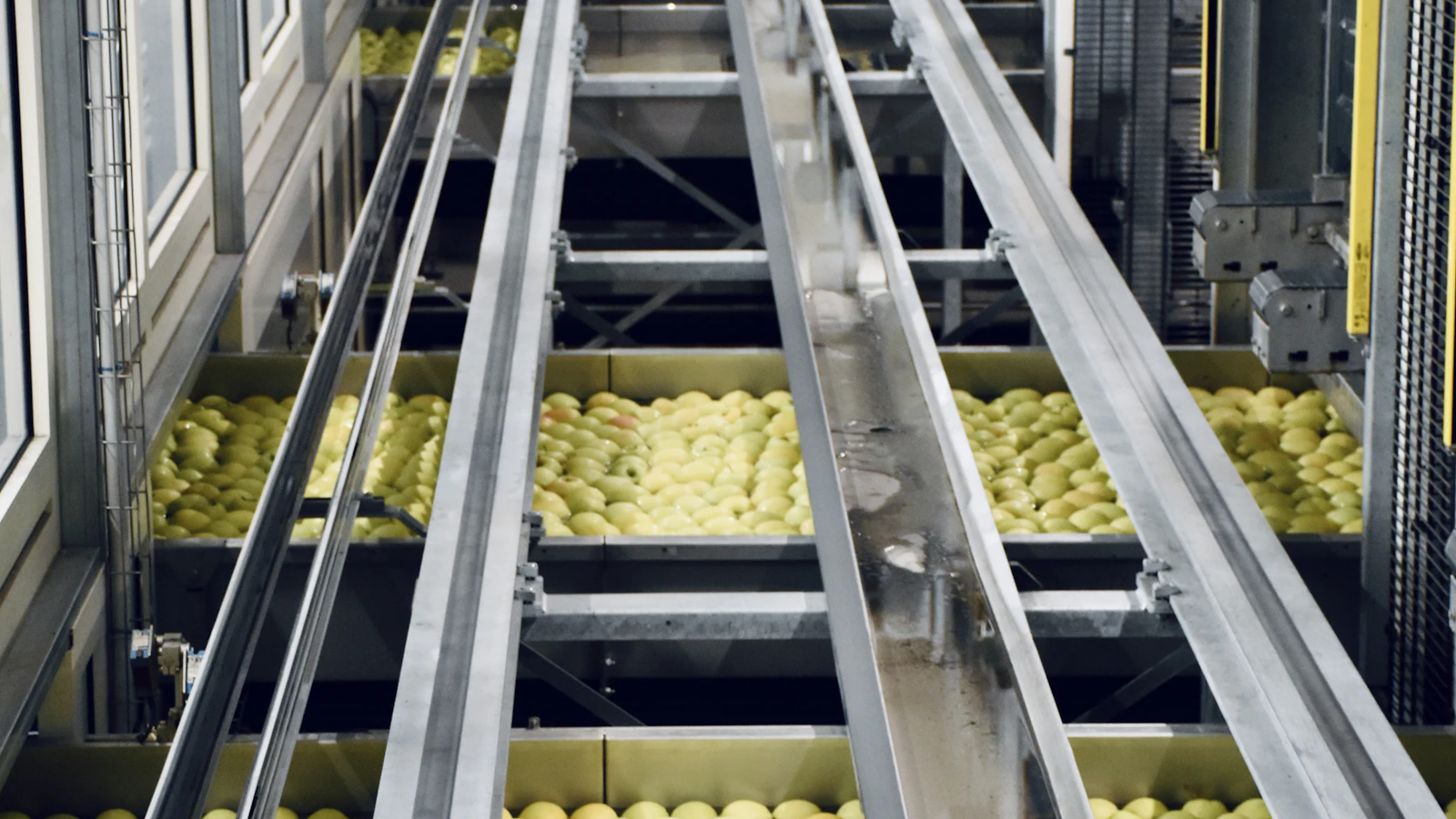 a factory with many machines