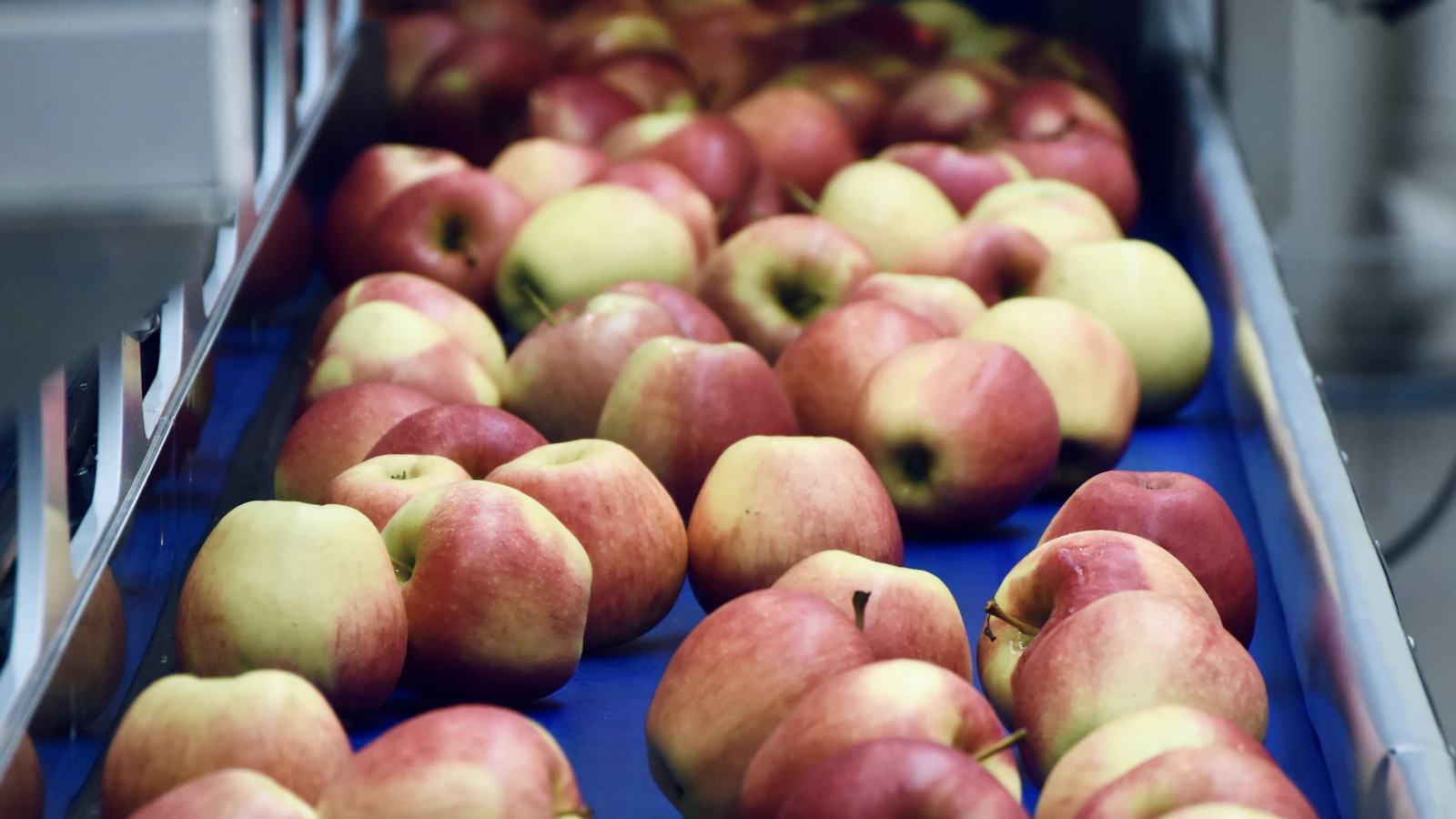 a box of apples