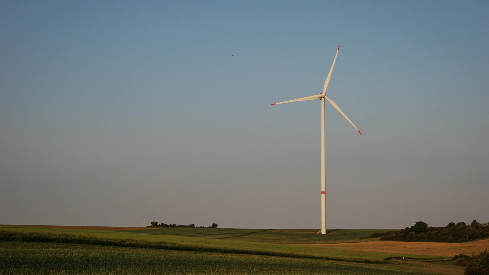 white wind turbine on green grass field under blue sky during daytime