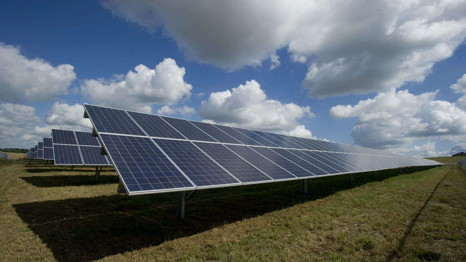 solar panels on green field